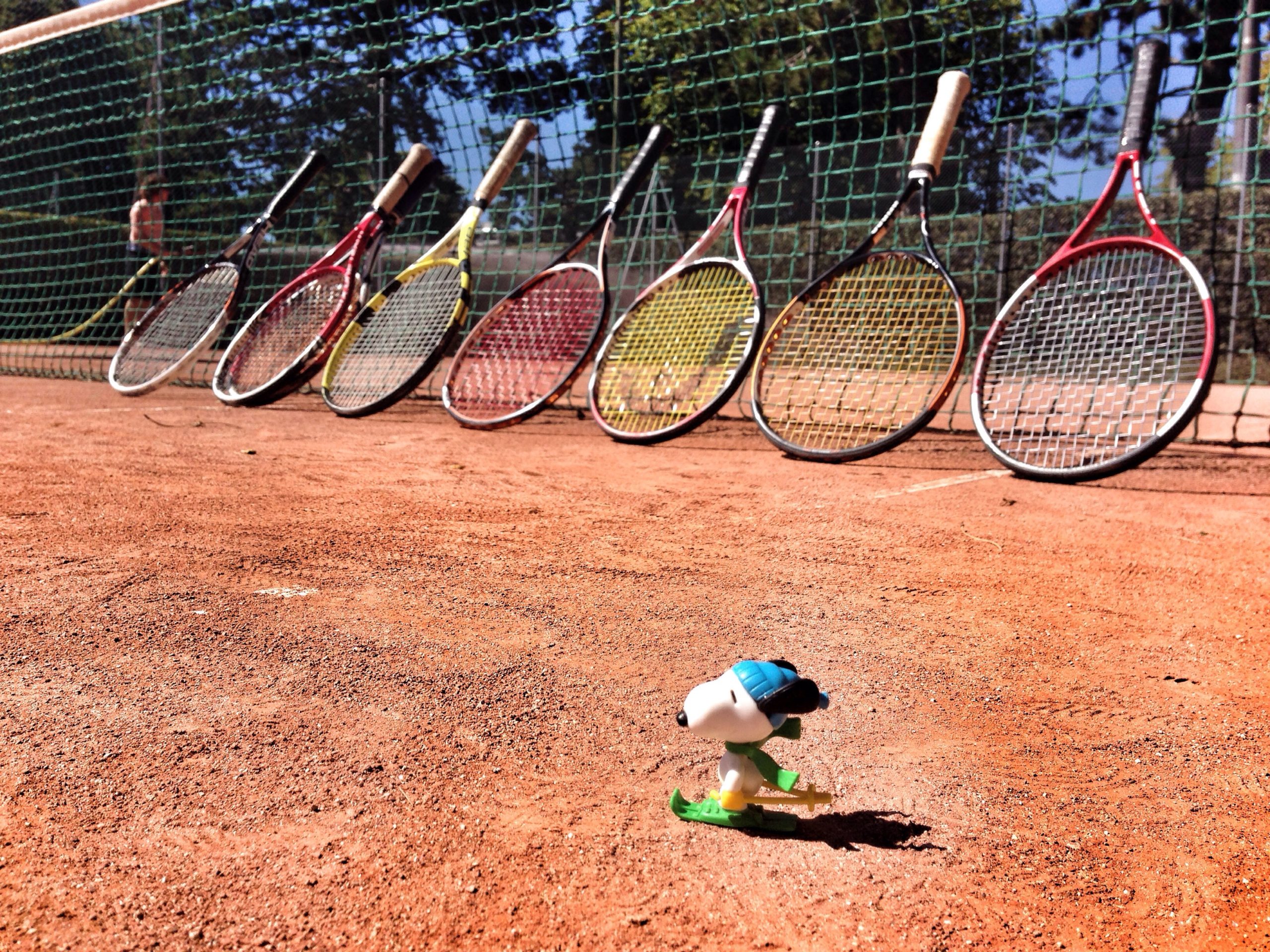 Anything But A Racket Not sure changing racket will change anything... - Snoop Adventures